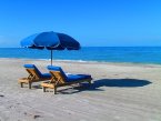 beach-382488_640.jpg